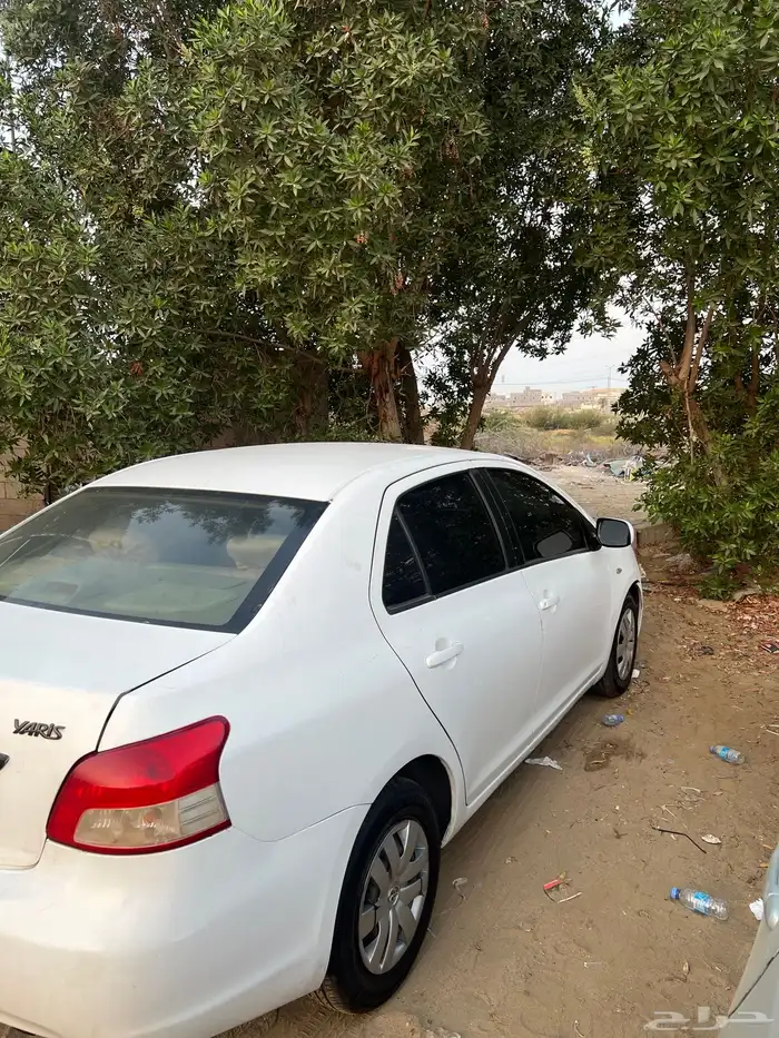 القنفذة 1