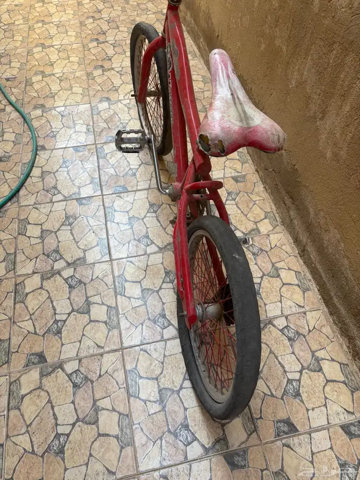 سيكل كوبرا مقاس 20 نضيف 0