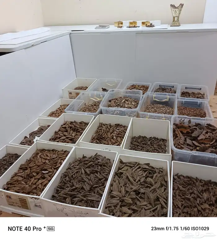 عود بخور مروكي فاخر الان باسعار الجملة 10