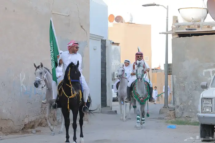 حصان واهو مصري بيور ..فرس شعبيه 4