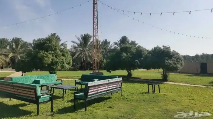 للإيجار اليومي مزرعة الجوهرة ببريدة 3