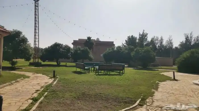 للإيجار اليومي مزرعة الجوهرة ببريدة 5