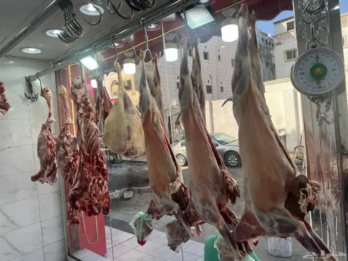 جزار دبح اضاحي بفضل الله دبح خرفان وبقر وحاشي 4