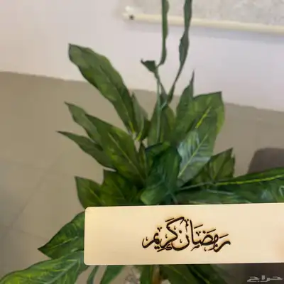 طباعة بالليزر 3