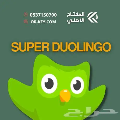 سوبر دولينقو لمدة سنة ب49ريال 0