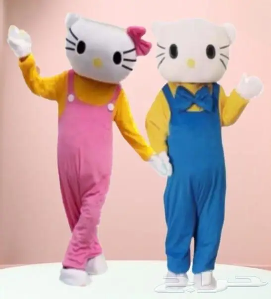 ثلاث قطط جميلات كاتيز (CAT) قط هلو كيتي قطه لولو كيتي 3