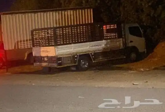 دينا مشاوير 0