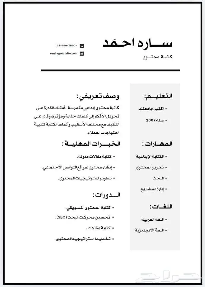 عمل سيرة ذاتية احترافيه مبلغ رمزي 3