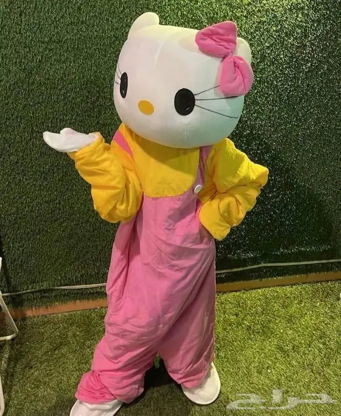 ثلاث قطط جميلات كاتيز (CAT) قط هلو كيتي قطه لولو كيتي 0