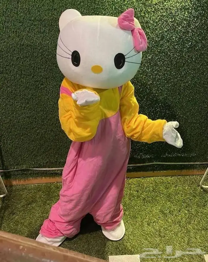 ثلاث قطط جميلات كاتيز (CAT) قط هلو كيتي قطه لولو كيتي 1