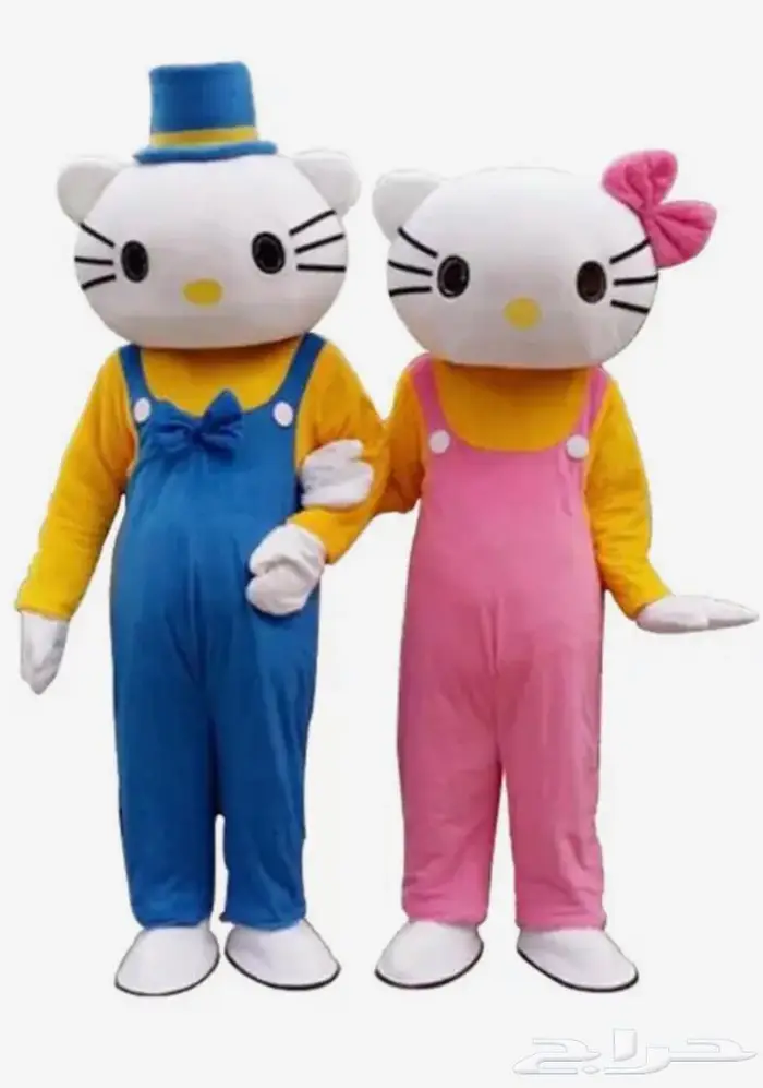 ثلاث قطط جميلات كاتيز (CAT) قط هلو كيتي قطه لولو كيتي 2