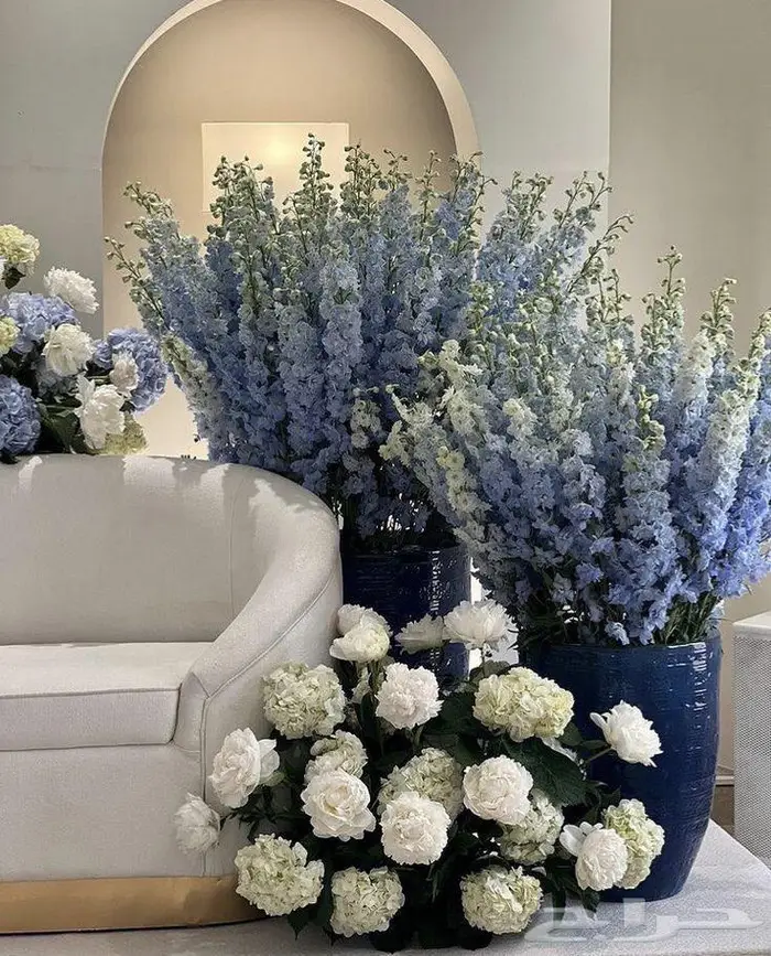 تنسيق حفلات 7