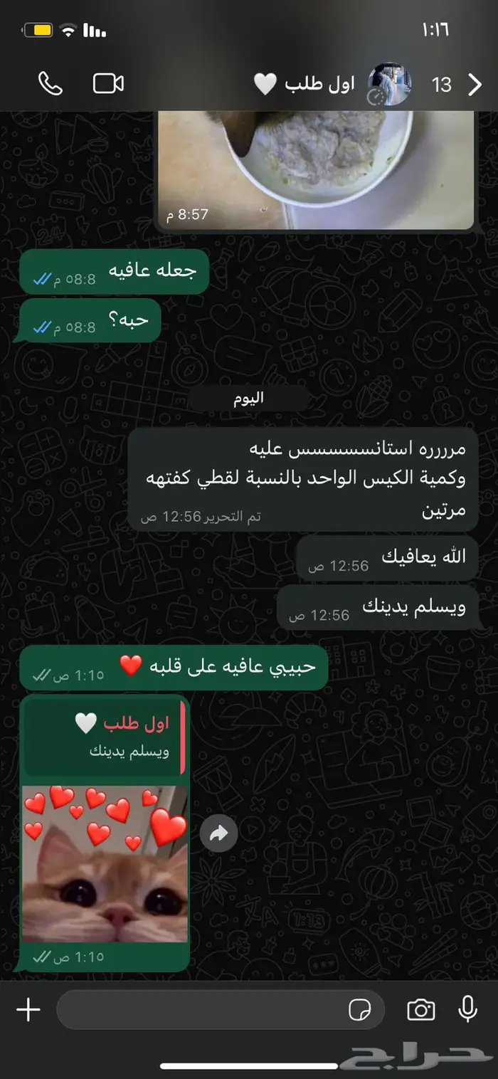 اكل قطط 1