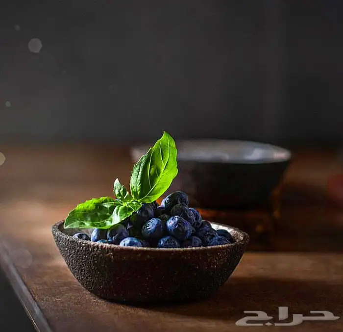 تصوير منيو 9