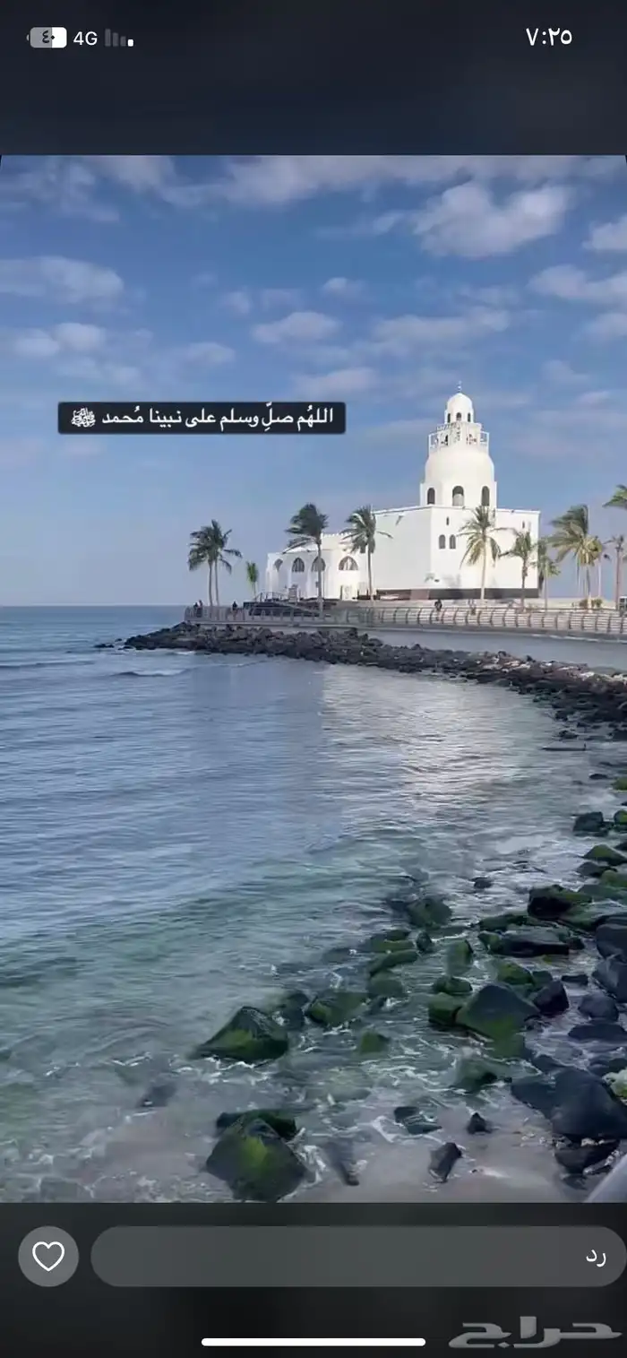 سياره حوض للخدمات التوصيل ونقل 0