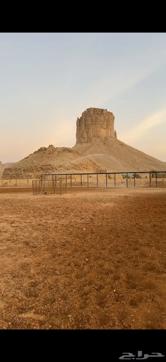 ايواء خيل 0