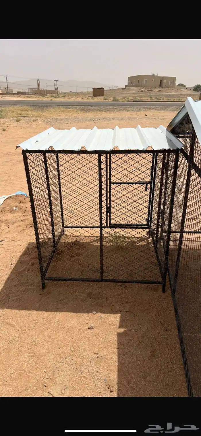 شبك دجاج 1