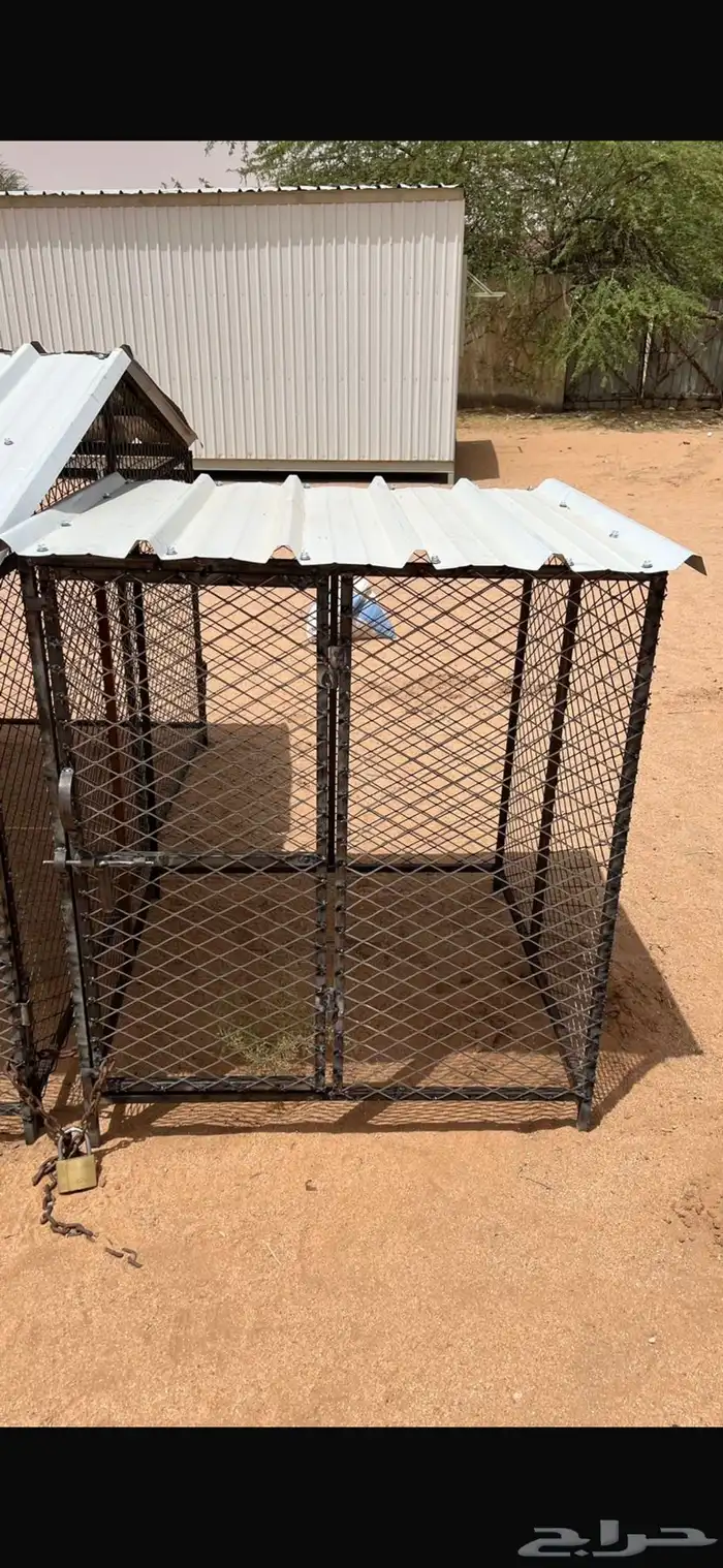 شبك دجاج 0