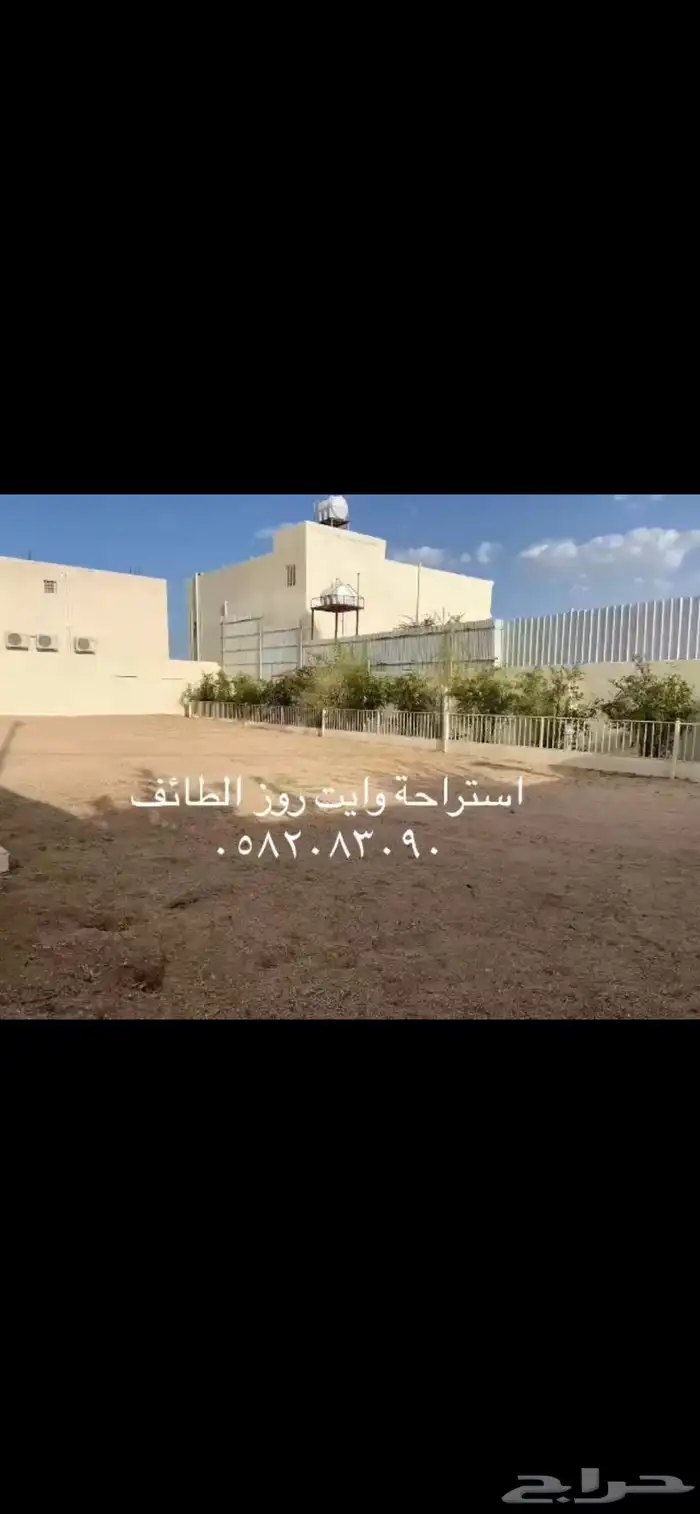 إستراحة وايت روز 7