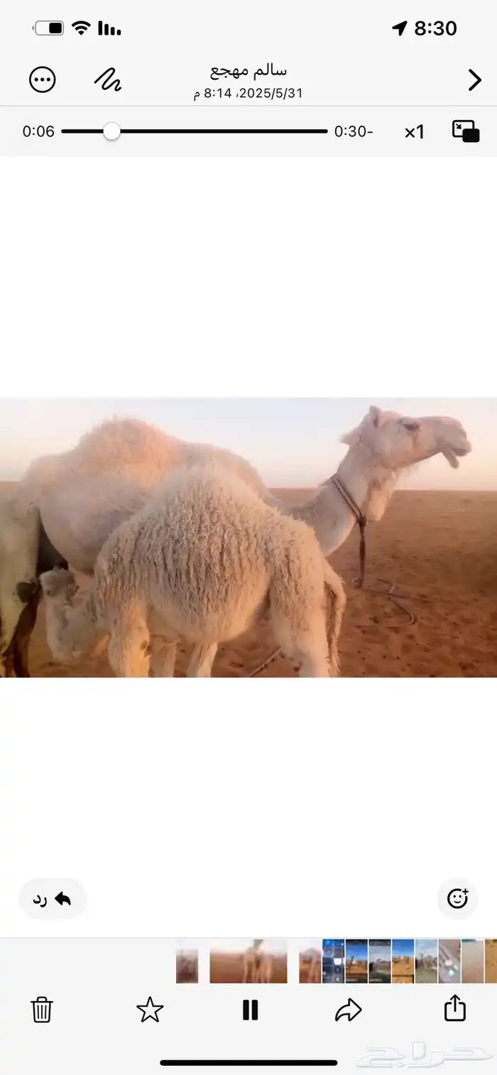 مركز العروسه بالخنفه بين الهوج ومركز العروسه 0