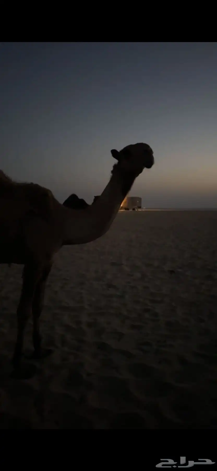 الجبيل 2