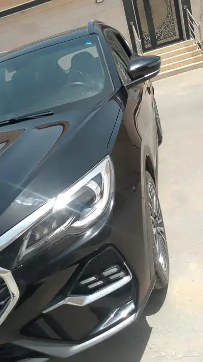 حيتور 2023 4