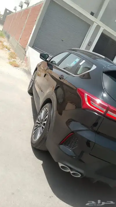 حيتور 2023 5