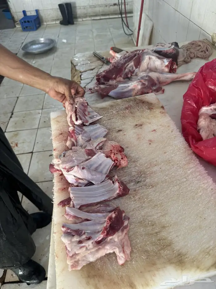 سواكن جذعان ذبيحتك لباب بيتك بسعر مميز 7