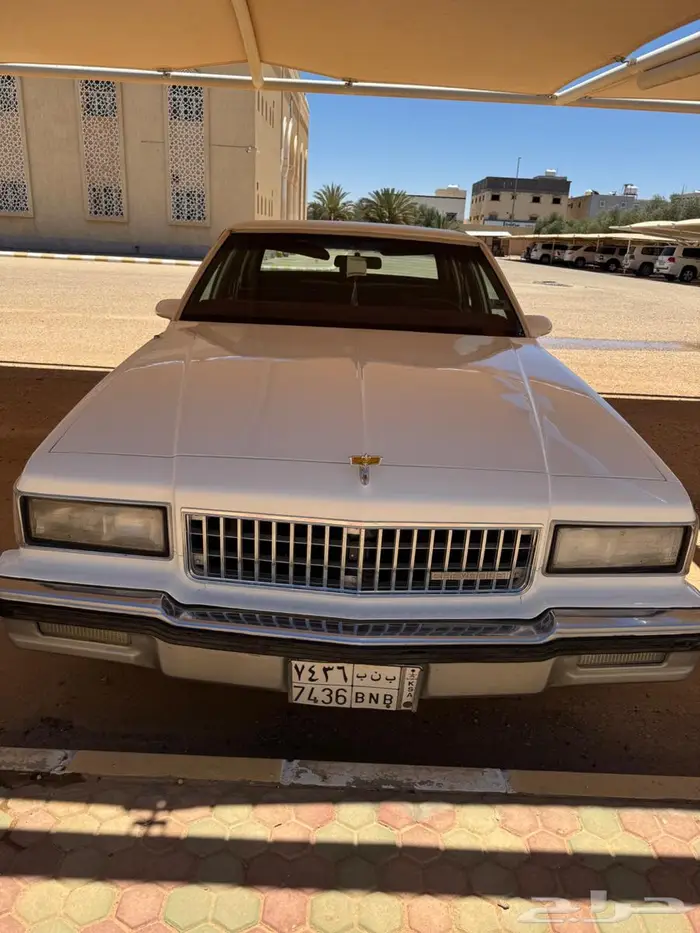 كابرس 1989 المالك الأول 11