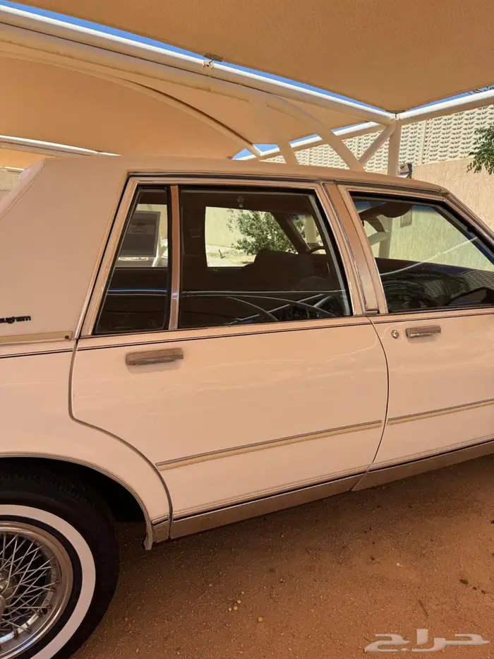 كابرس 1989 المالك الأول 2
