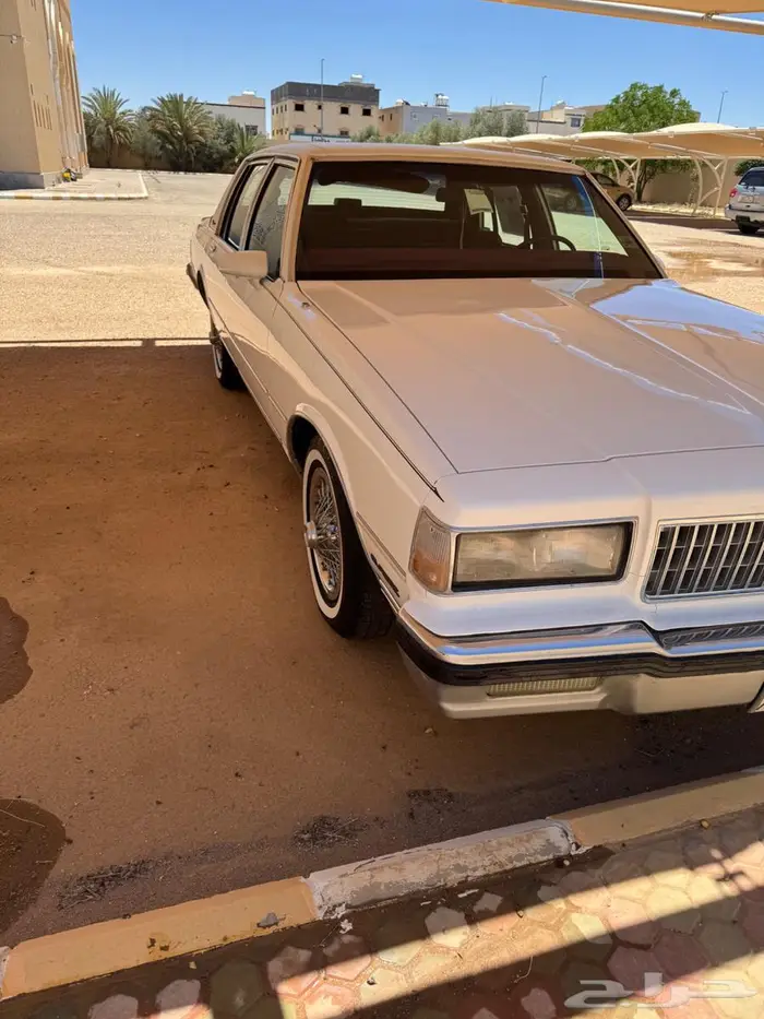 كابرس 1989 المالك الأول 8