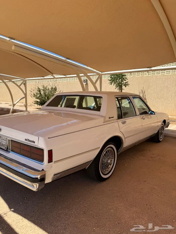 كابرس 1989 المالك الأول 10