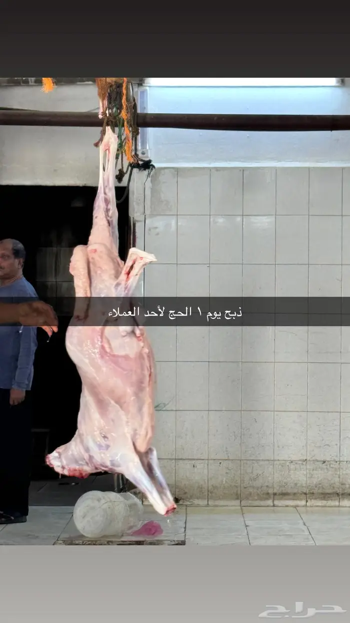 سواكن جذعان ذبيحتك لباب بيتك بسعر مميز 6