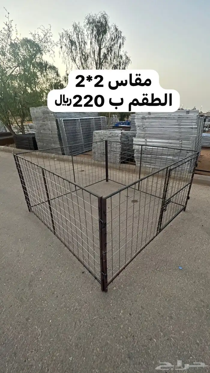 شبوك غنم 0