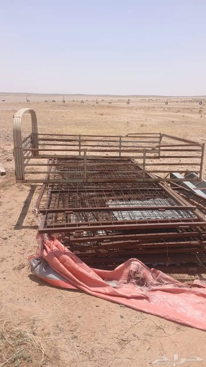 شد عقرب جيب شاص 1