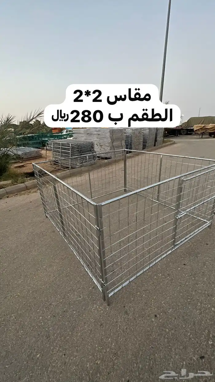 شبوك غنم 2