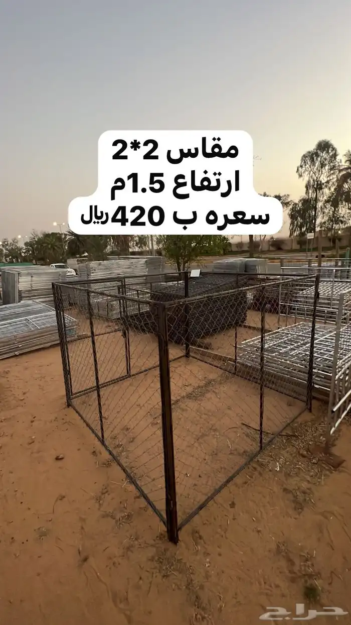 شبوك غنم 3