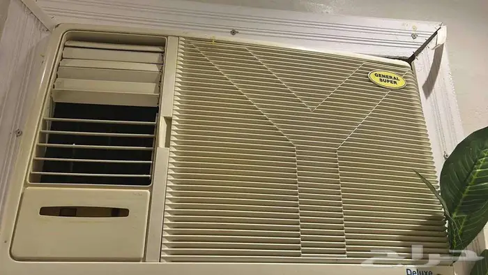 للبيع المستعجل حالتهم ممتازه 2
