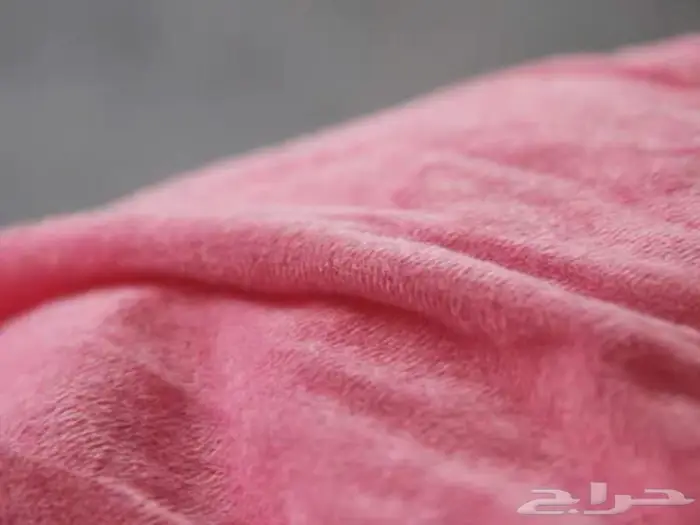 ثلاث قطط جميلات كاتيز (CAT) قط هلو كيتي قطه لولو كيتي 8