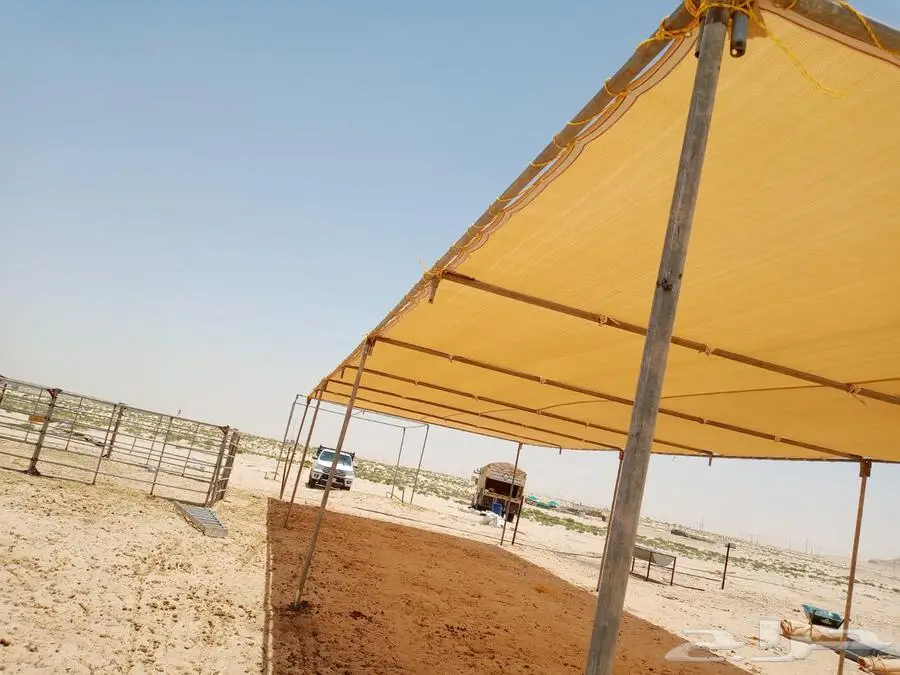 مظلات ابل ثابته 1