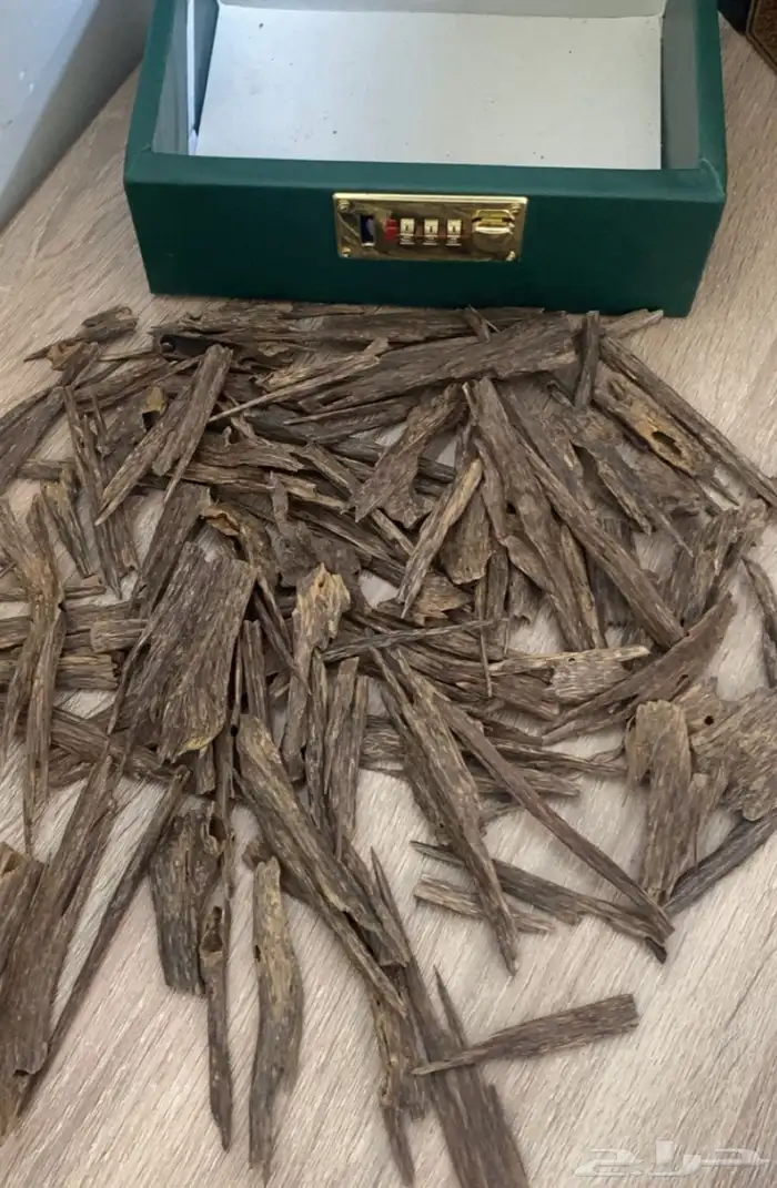 عود. هندي ناجالاند فاخر. عرض خاص 4