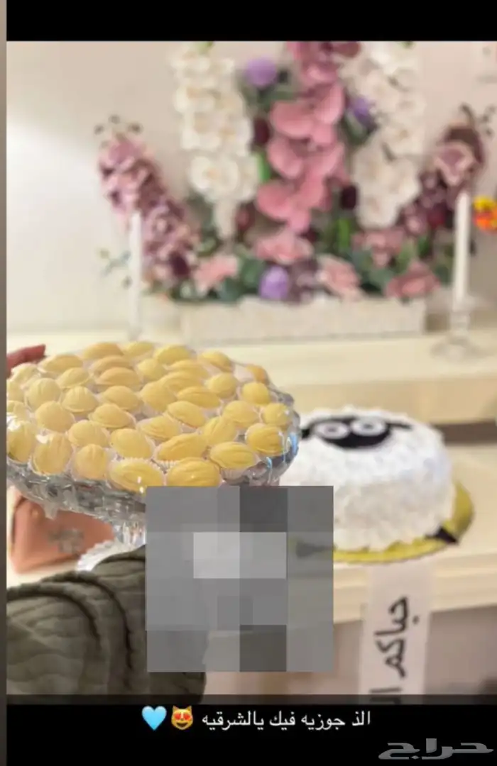 بسبوسة حلا بارد .سينابون . جوزيه. ترفل مانجو 2