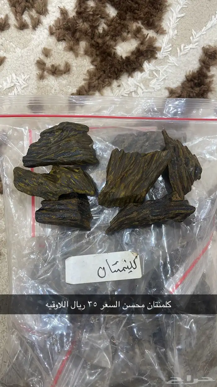 عود مروكي وكلمنتان 5