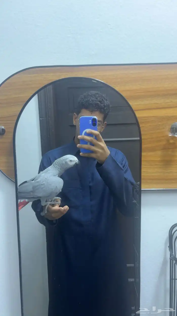 كاسكو سوبر جامبو 0