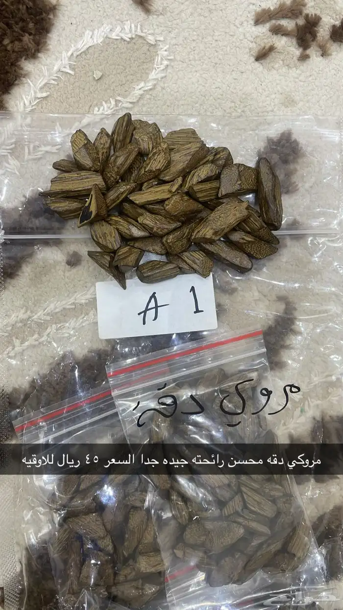 عود مروكي وكلمنتان 1