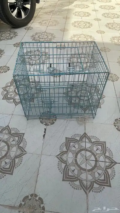 طابعات واقفاص قطط 9