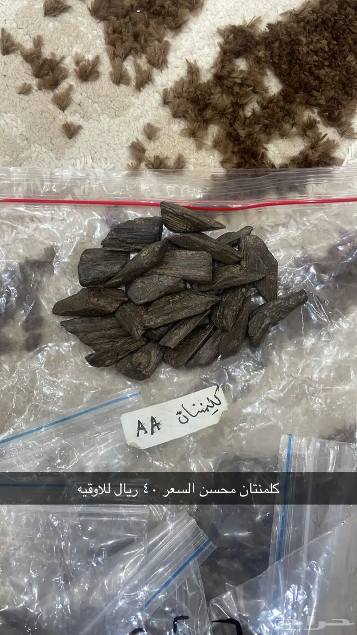 عود مروكي وكلمنتان 2