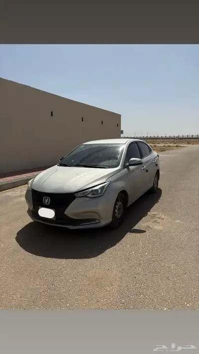 شنجان السفين 0