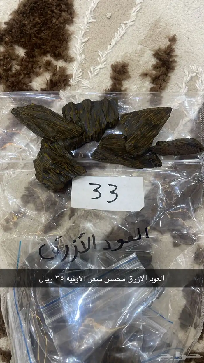 عود مروكي وكلمنتان 4