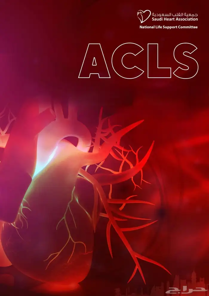 BLS و ساعات الهيئة 4
